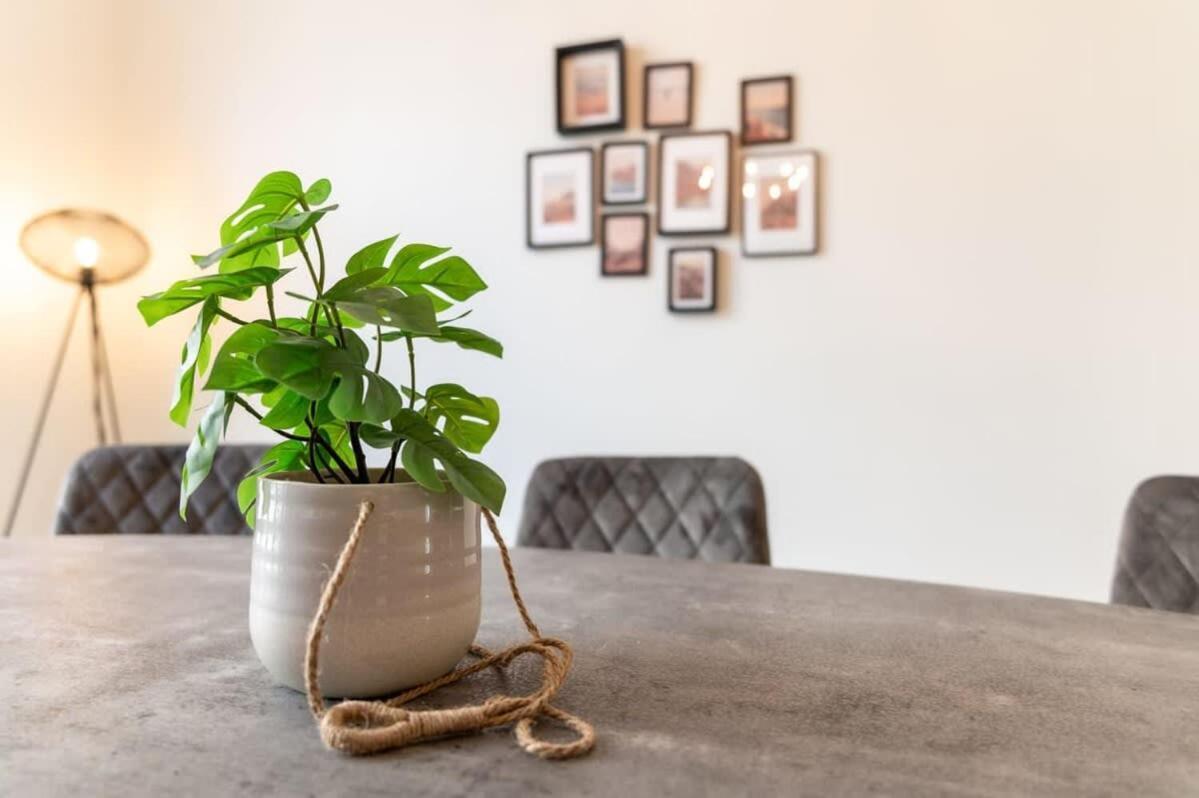 Beautiful Renovated Apartment In An Authentic Building 奥斯滕德 外观 照片